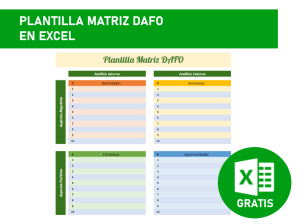 formato-modelo-ejemplo-planilla-plantilla-matriz-dafo-excel